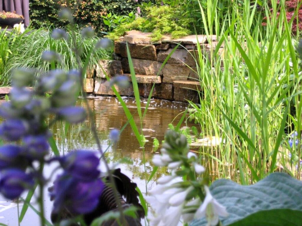 Wasser im Garten Overs Grünentwicklung Garten und Landschaftsbau